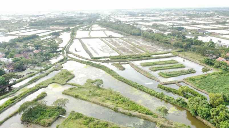 dijual tanah desa sukajaya