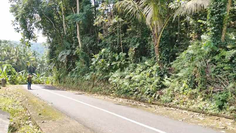 dijual tanah desa wisata gunung salak