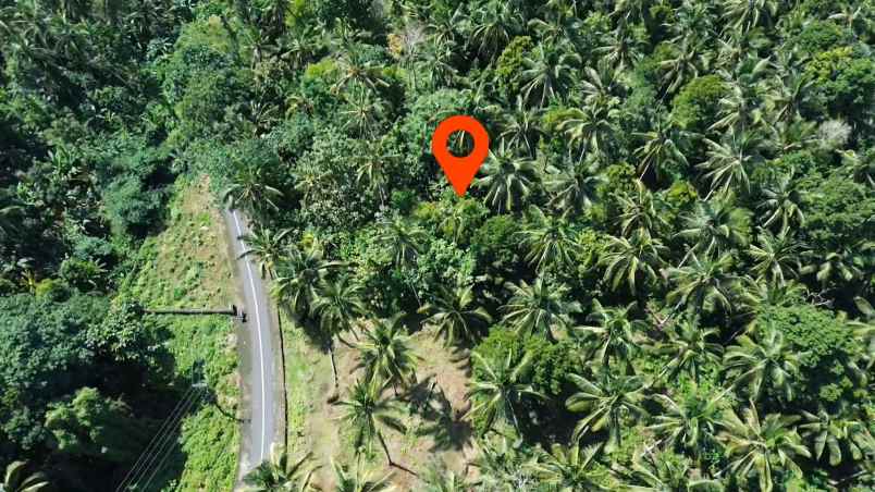 dijual tanah desa wisata gunung salak