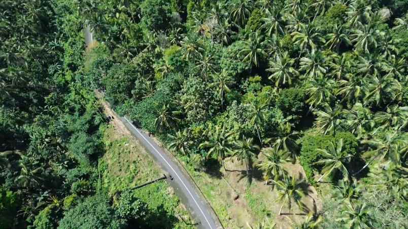 dijual tanah desa wisata gunung salak