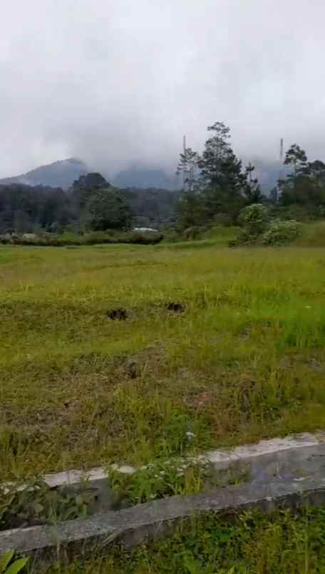 dijual tanah di bandar baru sibolangit o8i37747oioo