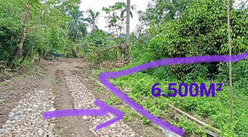 dijual tanah di bandar baru sibolangit o8i37747oioo