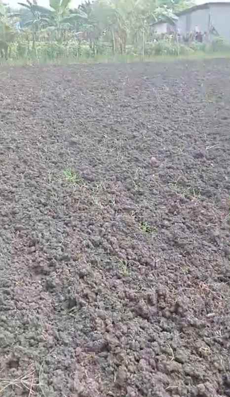 dijual tanah di desa siumbatu kec bahodopi morowali