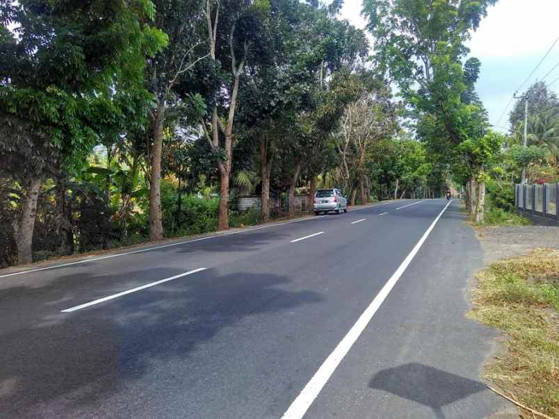 dijual tanah di jalan utama negara denpasar gilimanuk