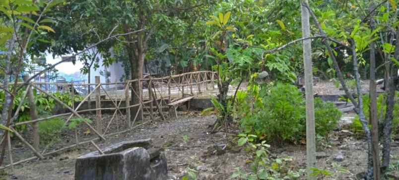 dijual tanah dijual tanah di banyurip