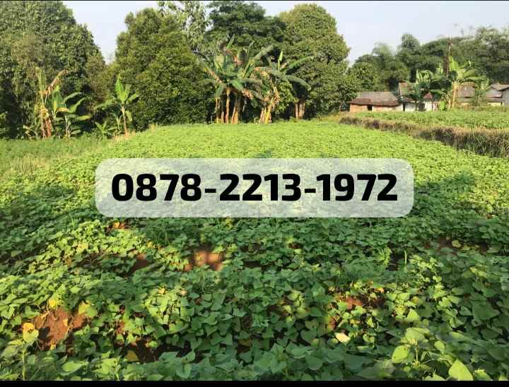 dijual tanah dramaga bogor