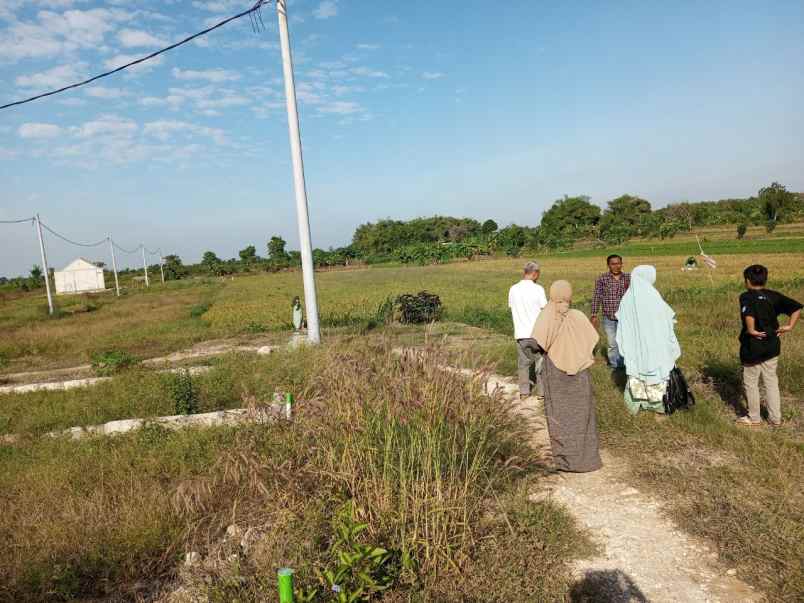 dijual tanah ds traseng slempit kedamean