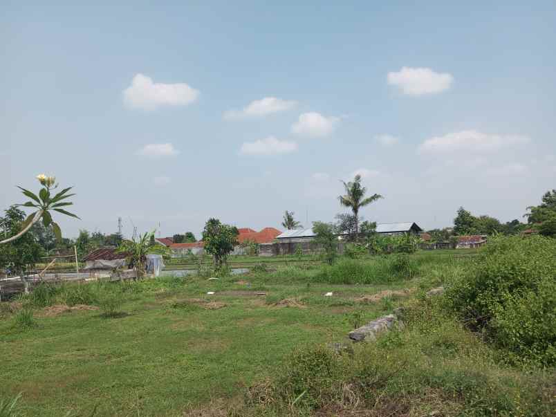 dijual tanah jalan damai