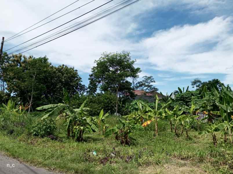 dijual tanah jalan palagan