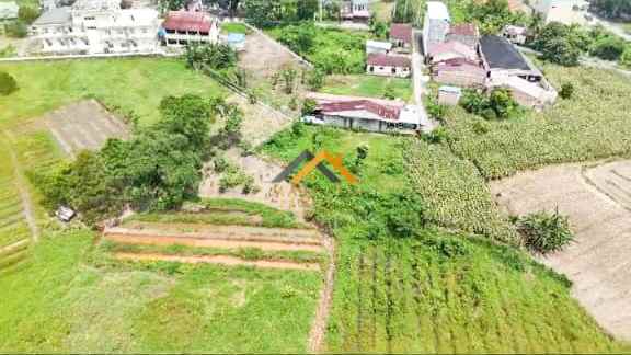 dijual tanah jalan petunia raya namu gajah