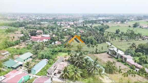 dijual tanah jalan petunia raya namu gajah