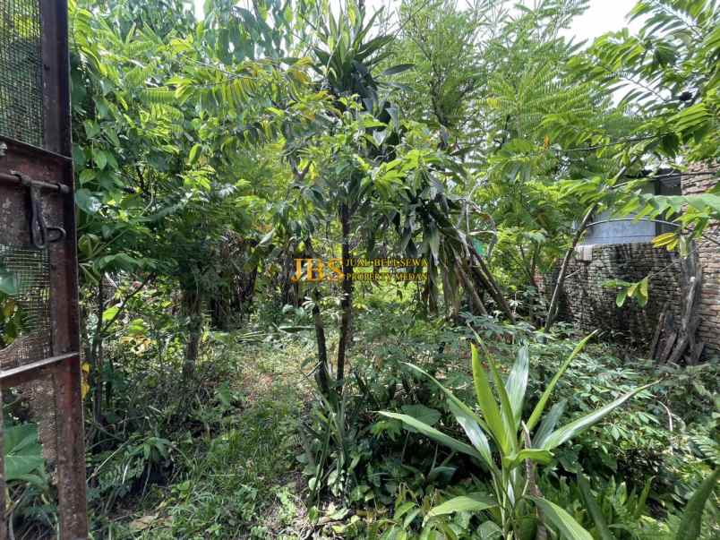 dijual tanah jalan purwosari daerah