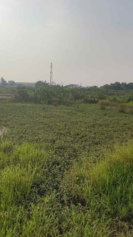 dijual tanah jalan raya urip sumoharjo
