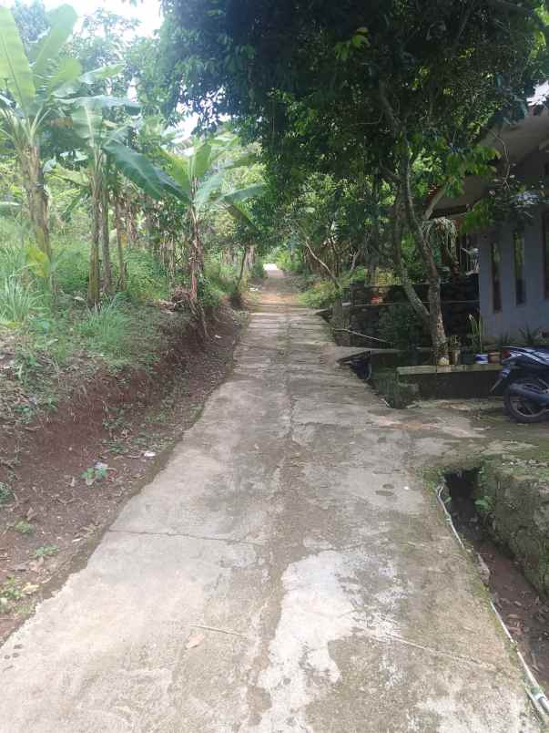 dijual tanah jalan sindangsari desa