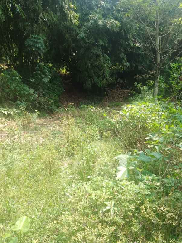 dijual tanah jalan sindangsari desa