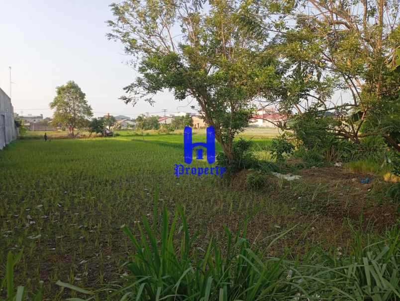 dijual tanah jalan sukarela timur jalan