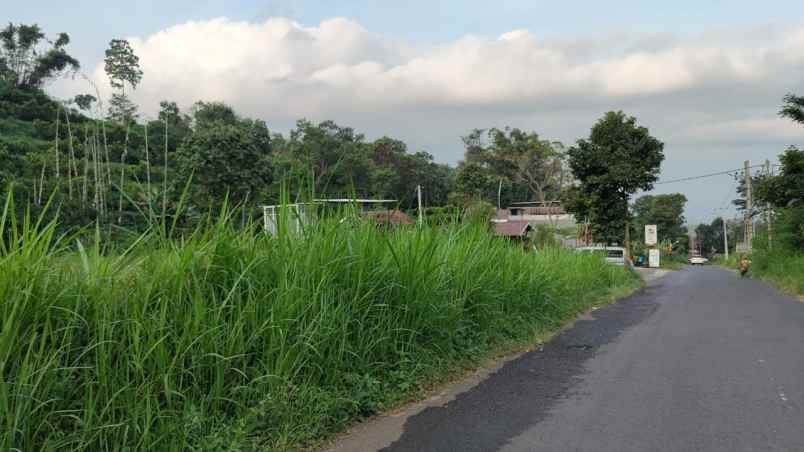 dijual tanah jalibar tlekung