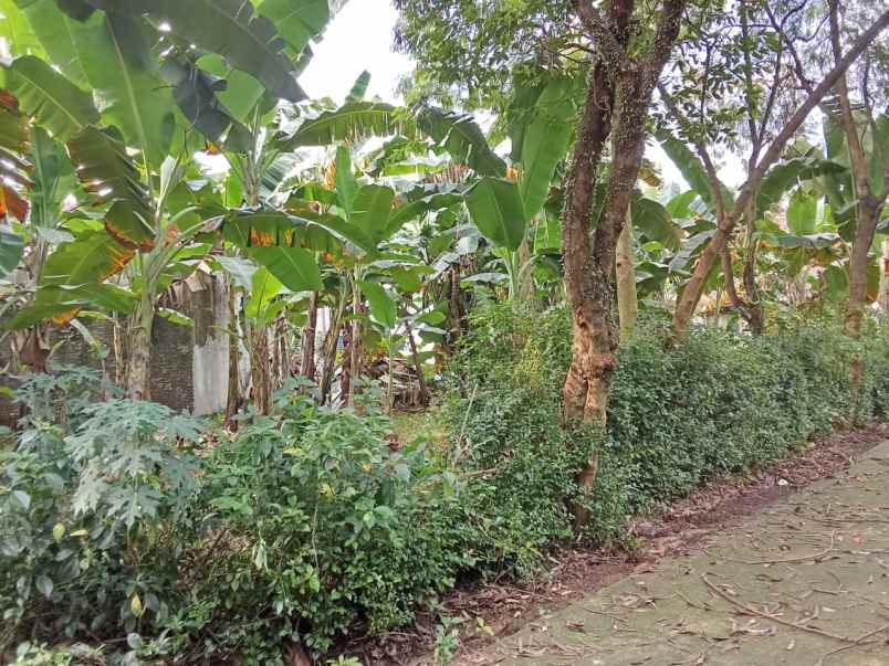 dijual tanah jl bukit cinere raya