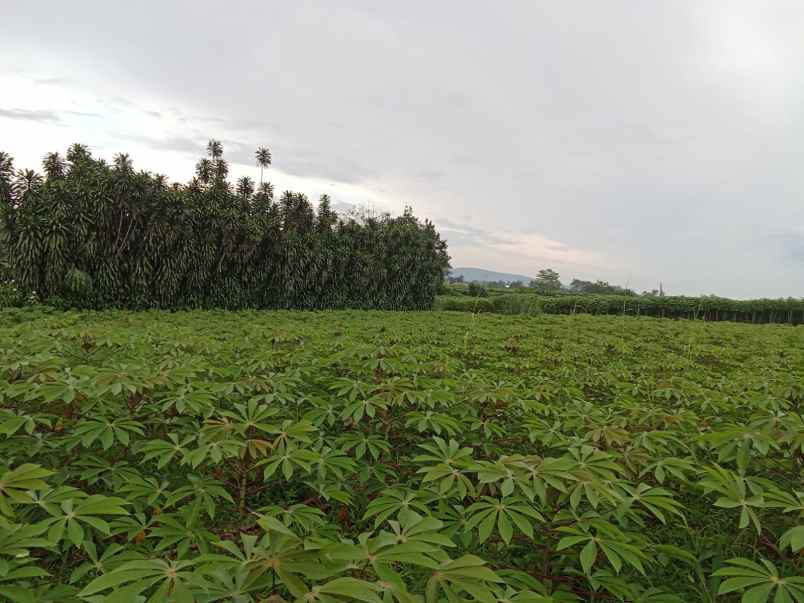 dijual tanah jl cagak satelit