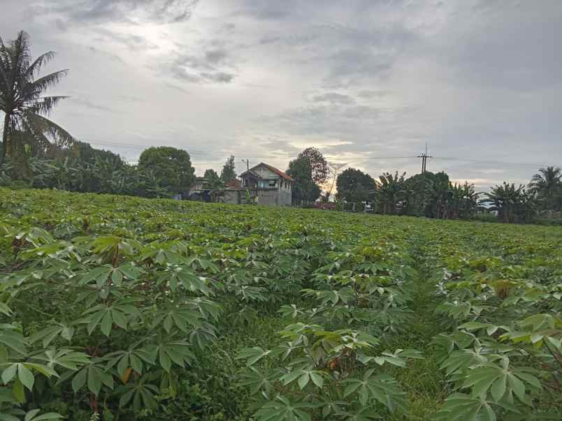 dijual tanah jl cagak satelit