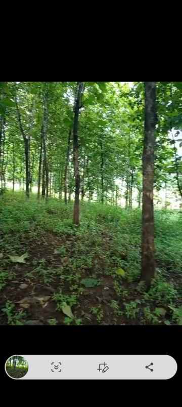 dijual tanah jl jayadikarta cihanyir