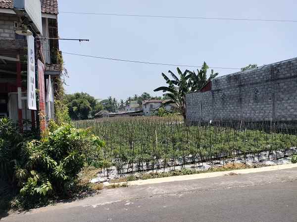 dijual tanah jl nambongan caturharjo