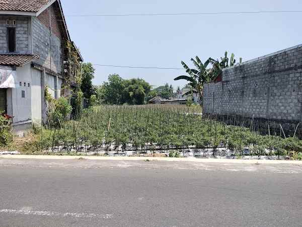 dijual tanah jl nambongan caturharjo