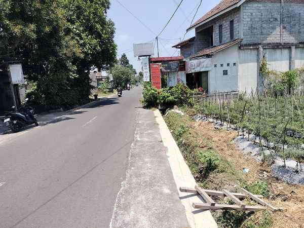 dijual tanah jl nambongan caturharjo