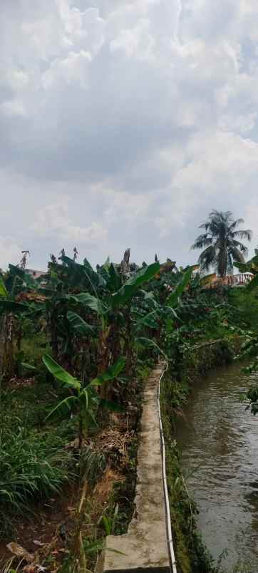 dijual tanah jl nangka gg belong