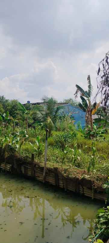 dijual tanah jl nangka gg belong