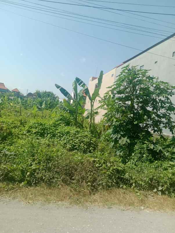 dijual tanah jln tukad badung