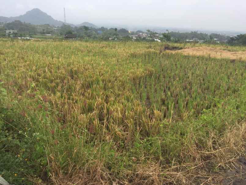 dijual tanah junrejo batu belakang