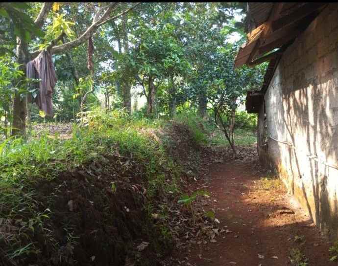 dijual tanah kalisuren