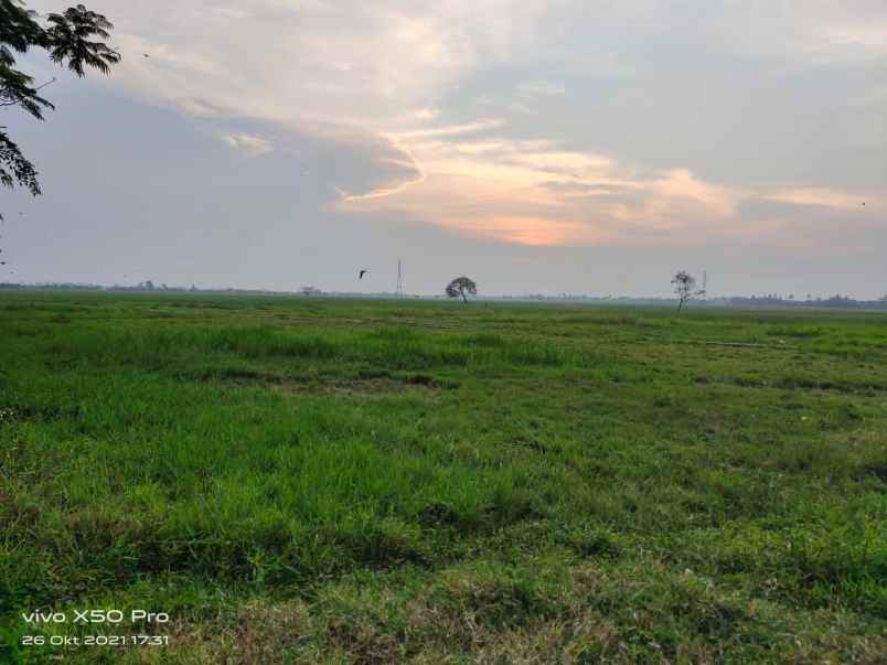 dijual tanah kampung junti timur