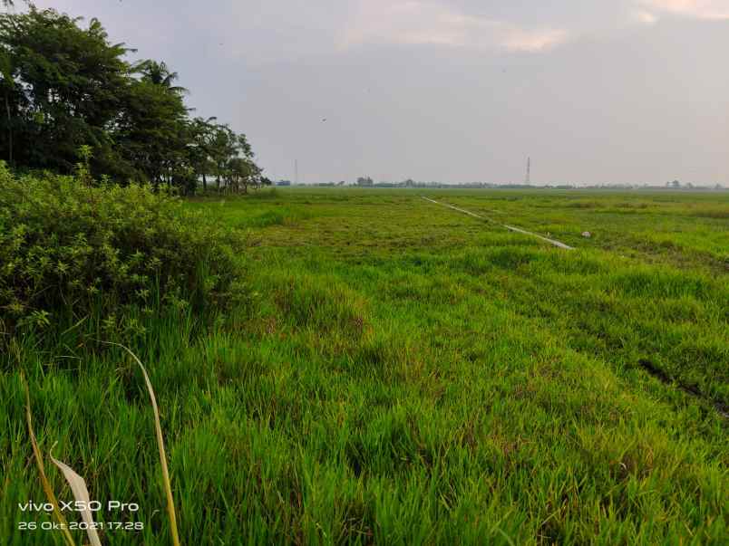 dijual tanah kampung junti timur