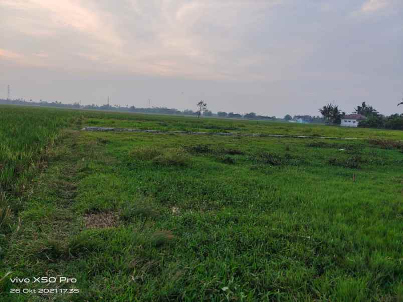 dijual tanah kampung junti timur