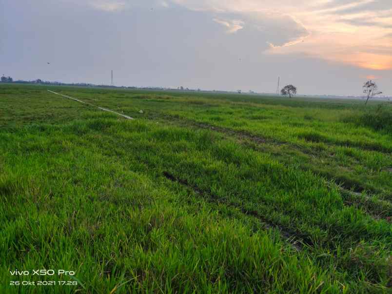 dijual tanah kampung junti timur