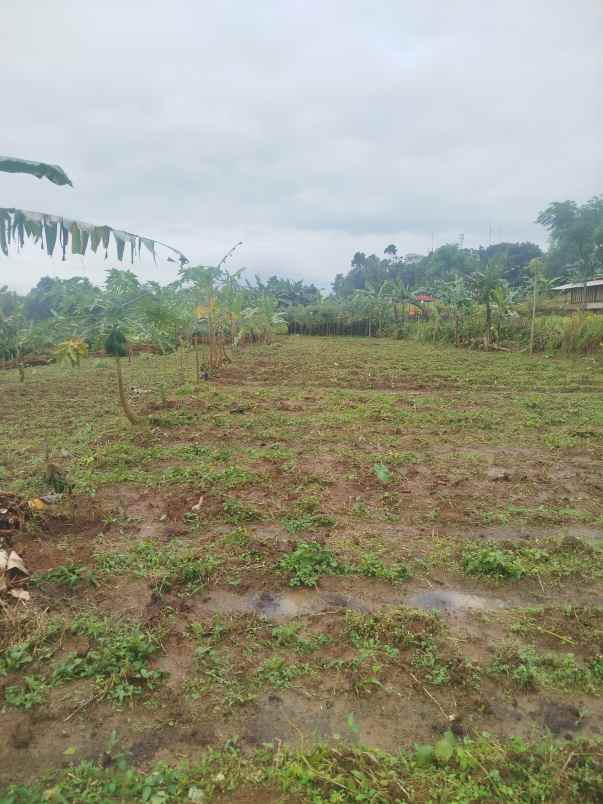 dijual tanah kecamatan cijeruk bogor