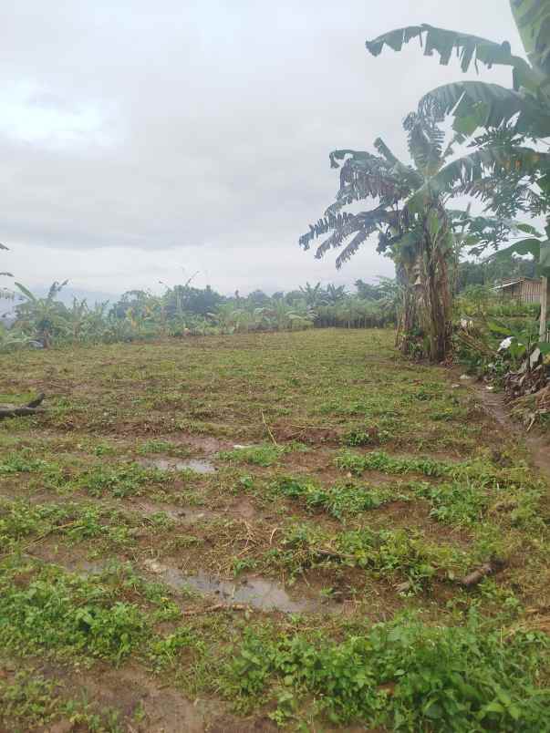 dijual tanah kecamatan cijeruk bogor