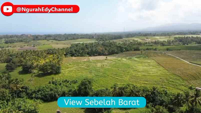 dijual tanah kecamatan selemadeg