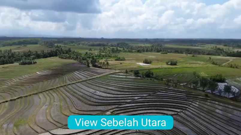 dijual tanah kecamatan selemadeg