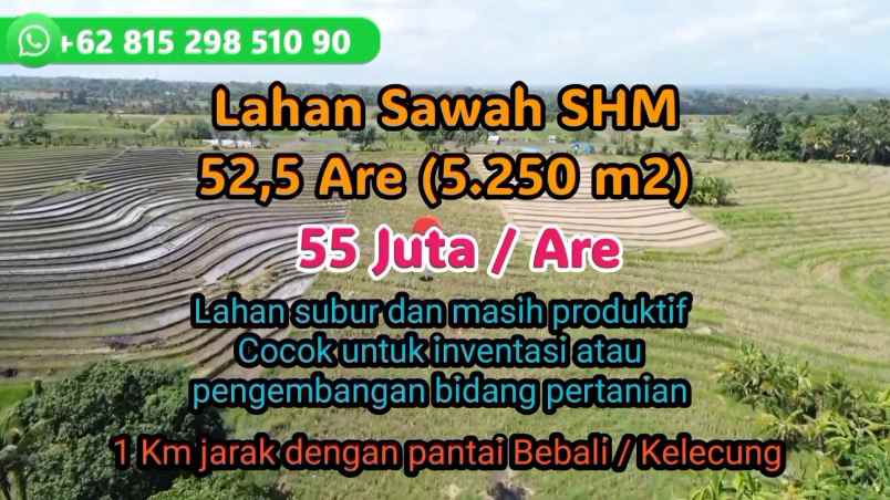 dijual tanah kecamatan selemadeg