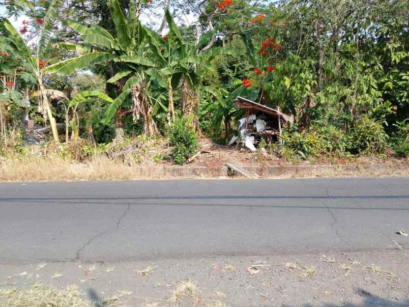 dijual tanah kelating tabanan bali
