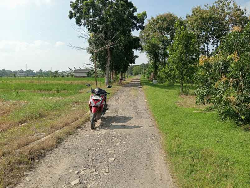 dijual tanah kosong dekat itb arjawinangun