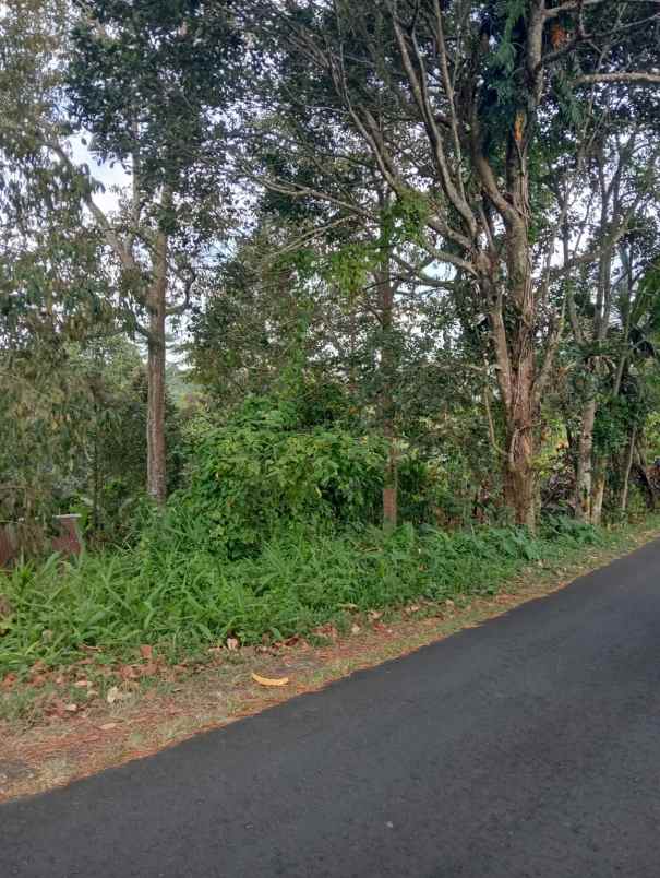 dijual tanah lokasi strategis di wongayagede