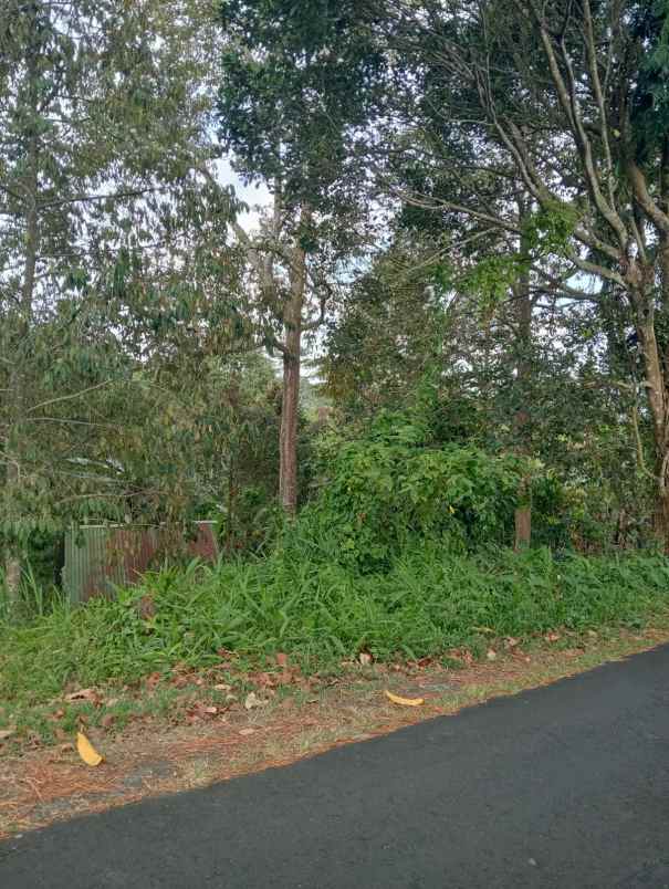 dijual tanah lokasi strategis di wongayagede
