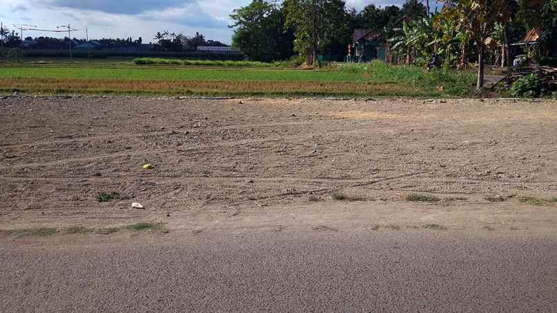 dijual tanah manding bantul yogyakarta