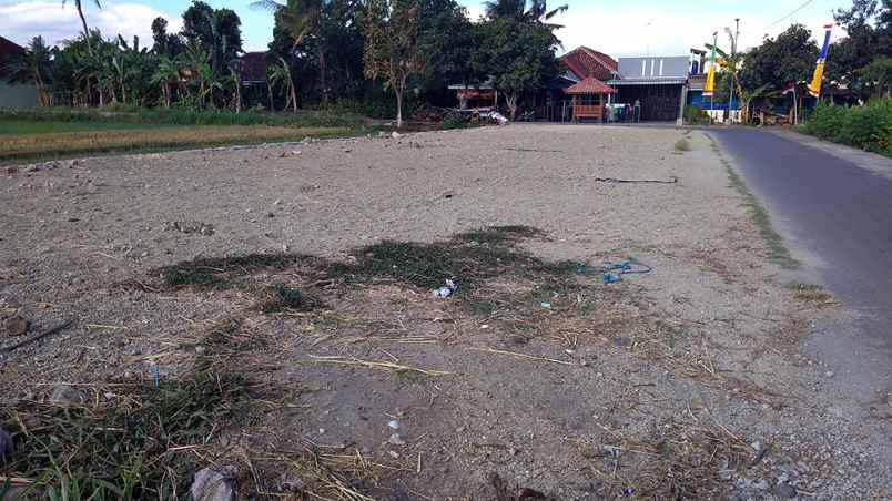 dijual tanah manding bantul yogyakarta