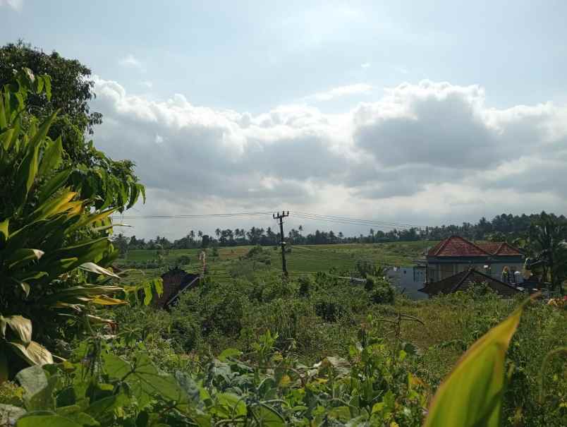 dijual tanah murah cocok untuk usaha besar investasi