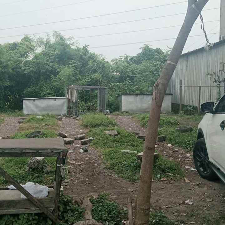 dijual tanah padangsa bian klod